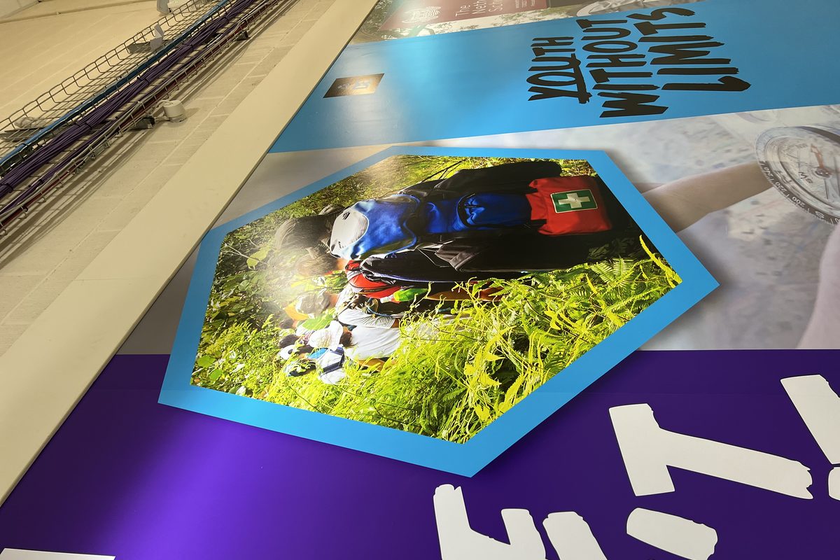 Custom wall graphic · Netherhall