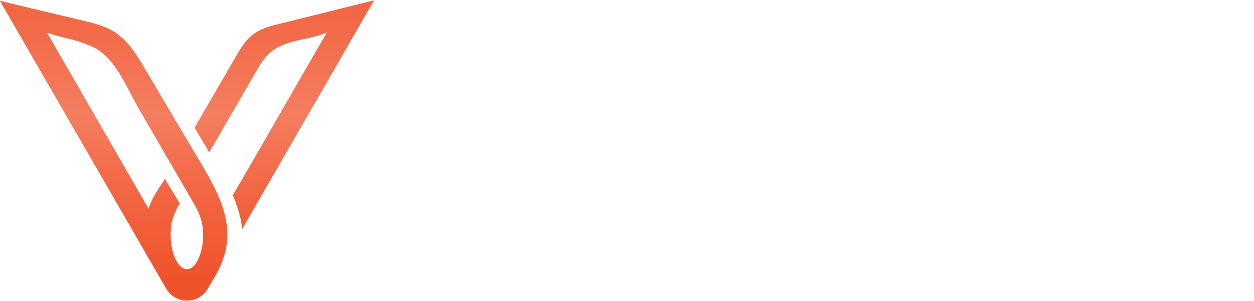 Velfi Interiors